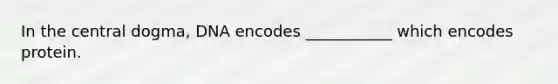 In the central dogma, DNA encodes ___________ which encodes protein.