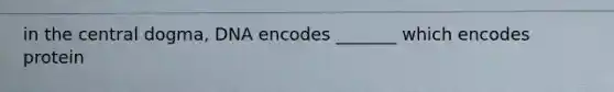 in the central dogma, DNA encodes _______ which encodes protein