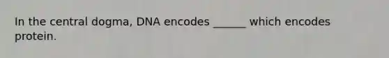 In the central dogma, DNA encodes ______ which encodes protein.