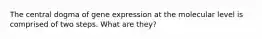The central dogma of gene expression at the molecular level is comprised of two steps. What are they?