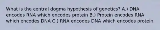 What is the central dogma hypothesis of genetics? A.) DNA encodes RNA which encodes protein B.) Protein encodes RNA which encodes DNA C.) RNA encodes DNA which encodes protein