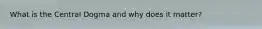 What is the Central Dogma and why does it matter?
