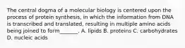 The central dogma of a molecular biology is centered upon the process of protein synthesis, in which the information from DNA is transcribed and translated, resulting in multiple amino acids being joined to form_______. A. lipids B. proteins C. carbohydrates D. nucleic acids