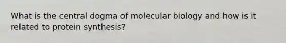 What is the central dogma of molecular biology and how is it related to protein synthesis?