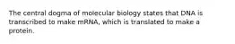 The central dogma of molecular biology states that DNA is transcribed to make mRNA, which is translated to make a protein.