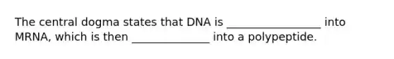 The central dogma states that DNA is _________________ into MRNA, which is then ______________ into a polypeptide.