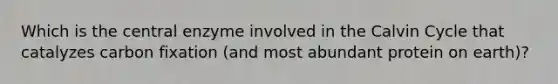 Which is the central enzyme involved in the Calvin Cycle that catalyzes carbon fixation (and most abundant protein on earth)?