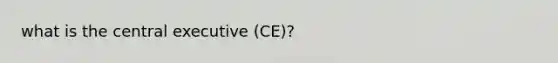 what is the central executive (CE)?