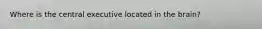 Where is the central executive located in the brain?