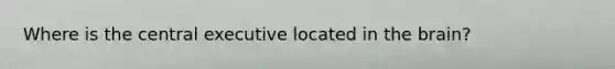 Where is the central executive located in the brain?