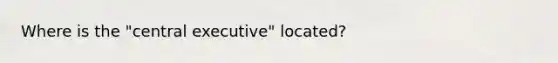 Where is the "central executive" located?