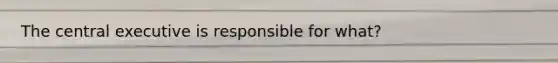 The central executive is responsible for what?