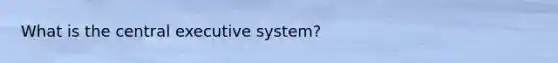 What is the central executive system?