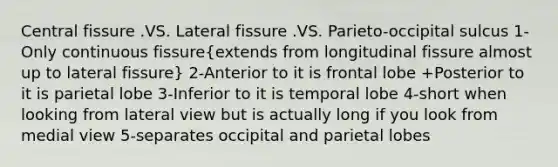 Central fissure .VS. Lateral fissure .VS. Parieto-occipital sulcus 1-Only continuous fissure(extends from longitudinal fissure almost up to lateral fissure) 2-Anterior to it is frontal lobe +Posterior to it is parietal lobe 3-Inferior to it is temporal lobe 4-short when looking from lateral view but is actually long if you look from medial view 5-separates occipital and parietal lobes