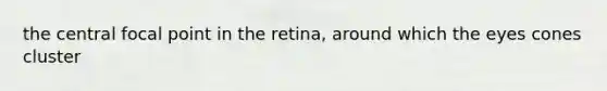 the central focal point in the retina, around which the eyes cones cluster