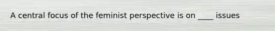 A central focus of the feminist perspective is on ____ issues