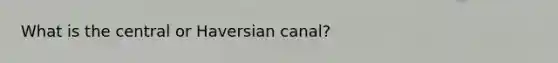 What is the central or Haversian canal?