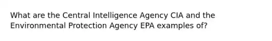 What are the Central Intelligence Agency CIA and the Environmental Protection Agency EPA examples of?