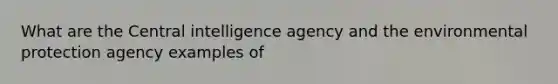 What are the Central intelligence agency and the environmental protection agency examples of