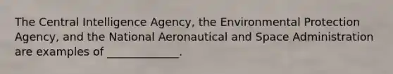 The Central Intelligence Agency, the Environmental Protection Agency, and the National Aeronautical and Space Administration are examples of _____________.