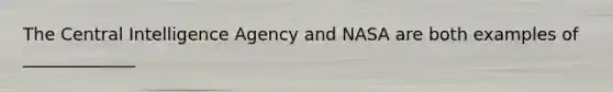 The Central Intelligence Agency and NASA are both examples of _____________