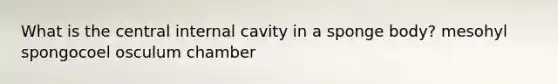 What is the central internal cavity in a sponge body? mesohyl spongocoel osculum chamber