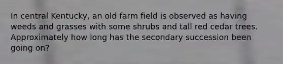 In central Kentucky, an old farm field is observed as having weeds and grasses with some shrubs and tall red cedar trees. Approximately how long has the secondary succession been going on?