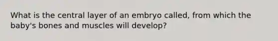 What is the central layer of an embryo called, from which the baby's bones and muscles will develop?