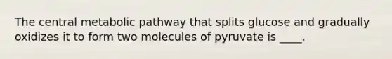 The central metabolic pathway that splits glucose and gradually oxidizes it to form two molecules of pyruvate is ____.