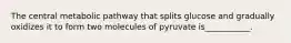 The central metabolic pathway that splits glucose and gradually oxidizes it to form two molecules of pyruvate is___________.