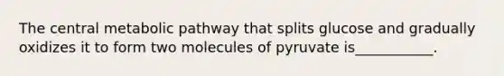 The central metabolic pathway that splits glucose and gradually oxidizes it to form two molecules of pyruvate is___________.