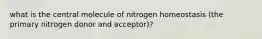 what is the central molecule of nitrogen homeostasis (the primary nitrogen donor and acceptor)?