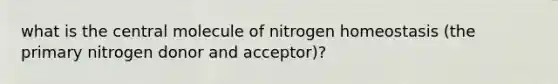 what is the central molecule of nitrogen homeostasis (the primary nitrogen donor and acceptor)?