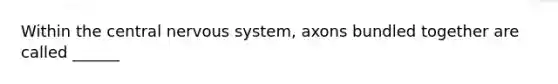 Within the central nervous system, axons bundled together are called ______