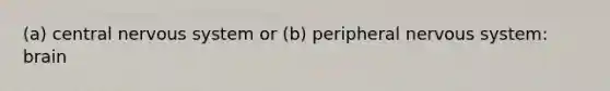 (a) central nervous system or (b) peripheral nervous system: brain