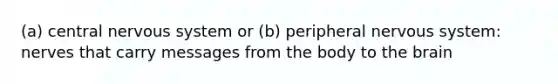 (a) central nervous system or (b) peripheral nervous system: nerves that carry messages from the body to the brain