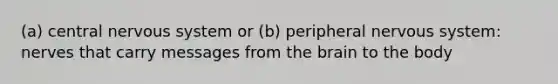 (a) central nervous system or (b) peripheral nervous system: nerves that carry messages from the brain to the body