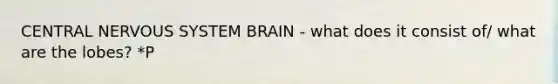 CENTRAL NERVOUS SYSTEM BRAIN - what does it consist of/ what are the lobes? *P