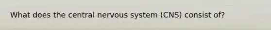 What does the central nervous system (CNS) consist of?