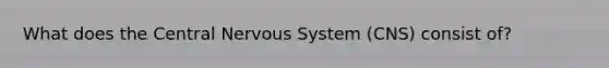 What does the Central Nervous System (CNS) consist of?