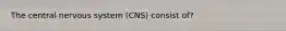 The central nervous system (CNS) consist of?