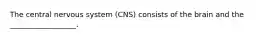 The central nervous system (CNS) consists of the brain and the __________________.