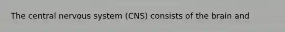 The central nervous system (CNS) consists of <a href='https://www.questionai.com/knowledge/kLMtJeqKp6-the-brain' class='anchor-knowledge'>the brain</a> and