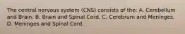 The central nervous system (CNS) consists of the: A. Cerebellum and Brain. B. Brain and Spinal Cord. C. Cerebrum and Meninges. D. Meninges and Spinal Cord.