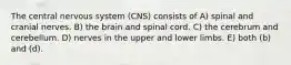 The central nervous system (CNS) consists of A) spinal and cranial nerves. B) the brain and spinal cord. C) the cerebrum and cerebellum. D) nerves in the upper and lower limbs. E) both (b) and (d).