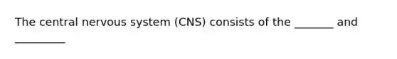 The central nervous system (CNS) consists of the _______ and _________