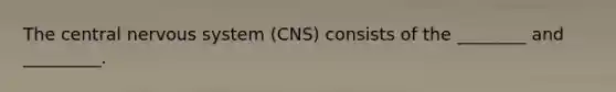 The central nervous system (CNS) consists of the ________ and _________.