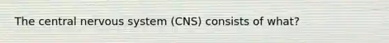 The central nervous system (CNS) consists of what?