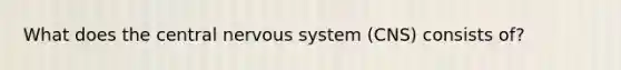 What does the central nervous system (CNS) consists of?