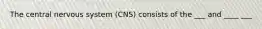 The central nervous system (CNS) consists of the ___ and ____ ___